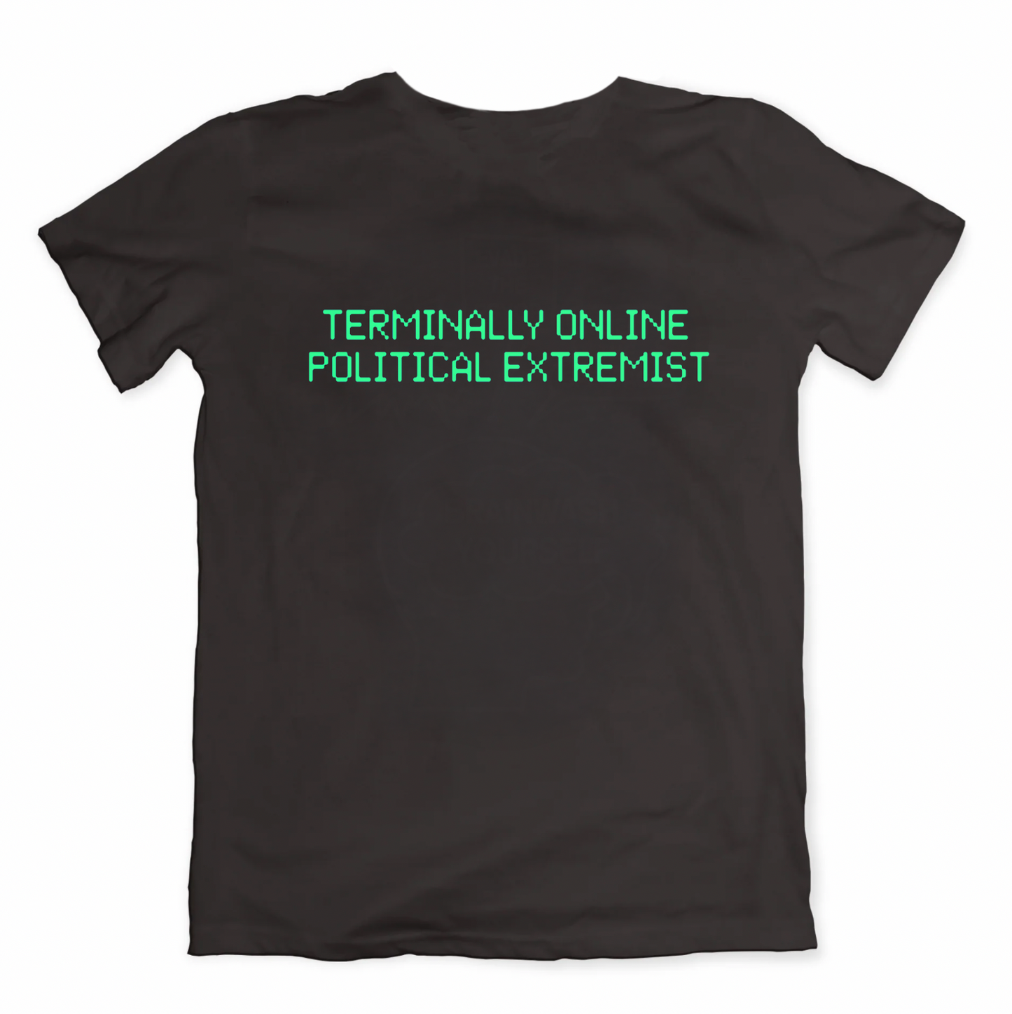 TERMINALLY ONLINE POLITICAL EXTREMIST